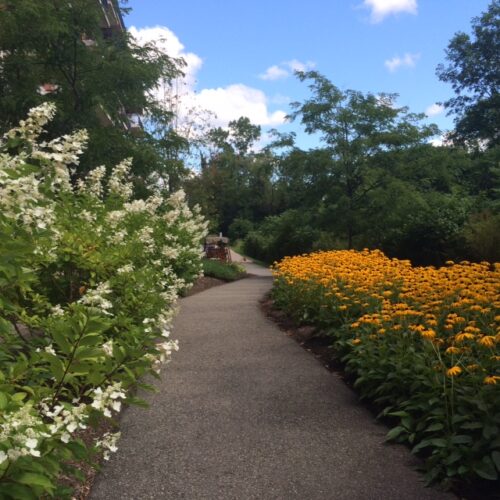 Jardin - Le Nobilis